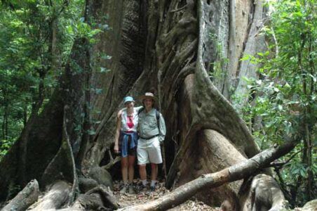 Deforestation Keeping Pace with Population Growth Image